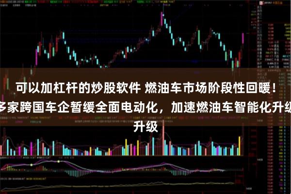 可以加杠杆的炒股软件 燃油车市场阶段性回暖！多家跨国车企暂缓全面电动化，加速燃油车智能化升级