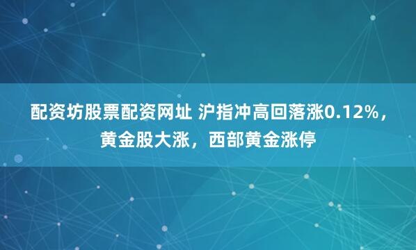 配资坊股票配资网址 沪指冲高回落涨0.12%，黄金股大涨，西部黄金涨停
