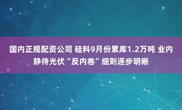 国内正规配资公司 硅料9月份累库1.2万吨 业内静待光伏“反内卷”细则逐步明晰